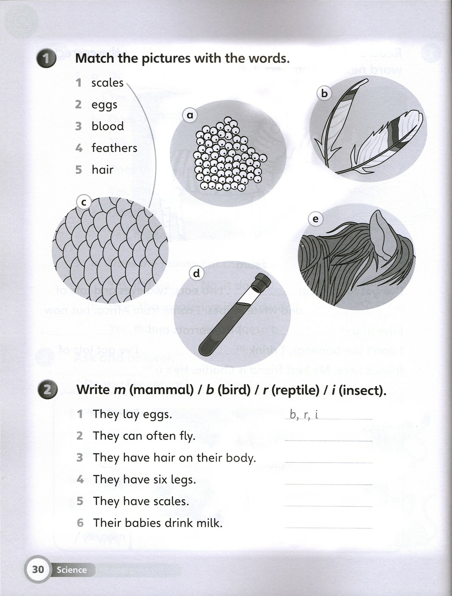 Super Minds. Level 2. Workbook (книга на английском языке) - фото №3