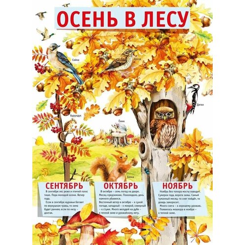 кому нужны деревья в лесу плакат Плакат Осень в лесу, изд: Горчаков 460326294100371517