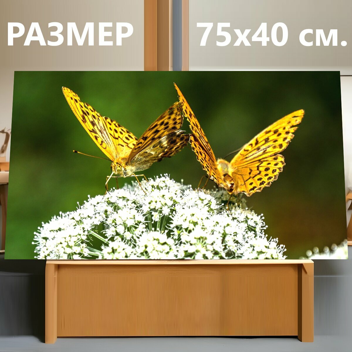 Картина на холсте "Бабочка, бабочки, природа" на подрамнике 75х40 см. для интерьера