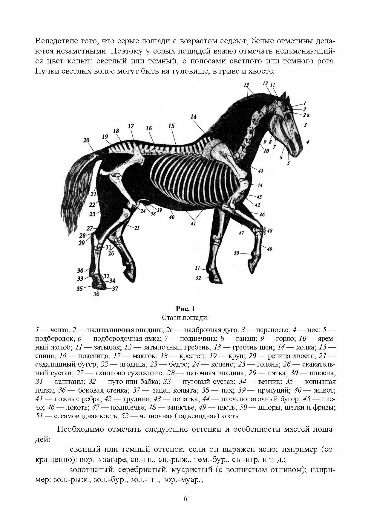 Коневодство. Практикум. Учебное пособие - фото №8