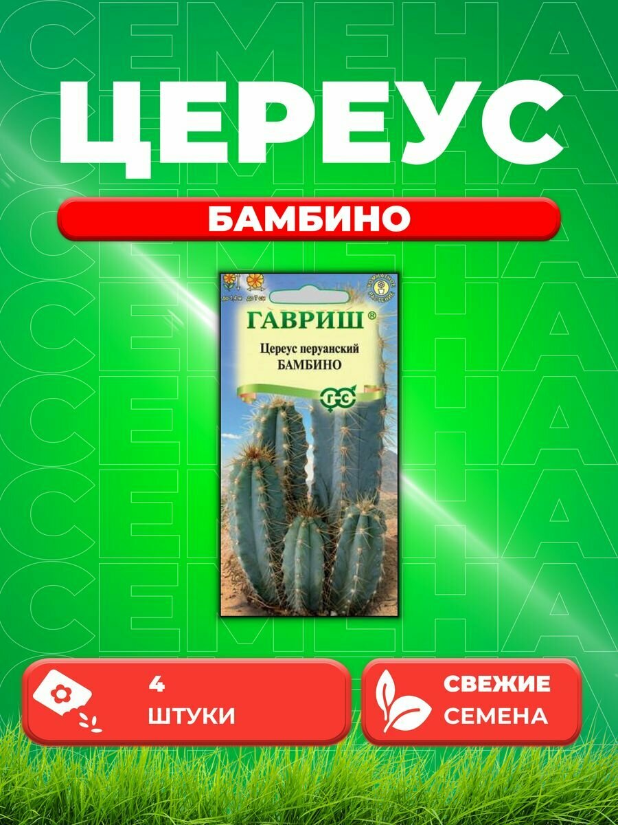 Цереус перуанский Бамбино 4шт Гавриш