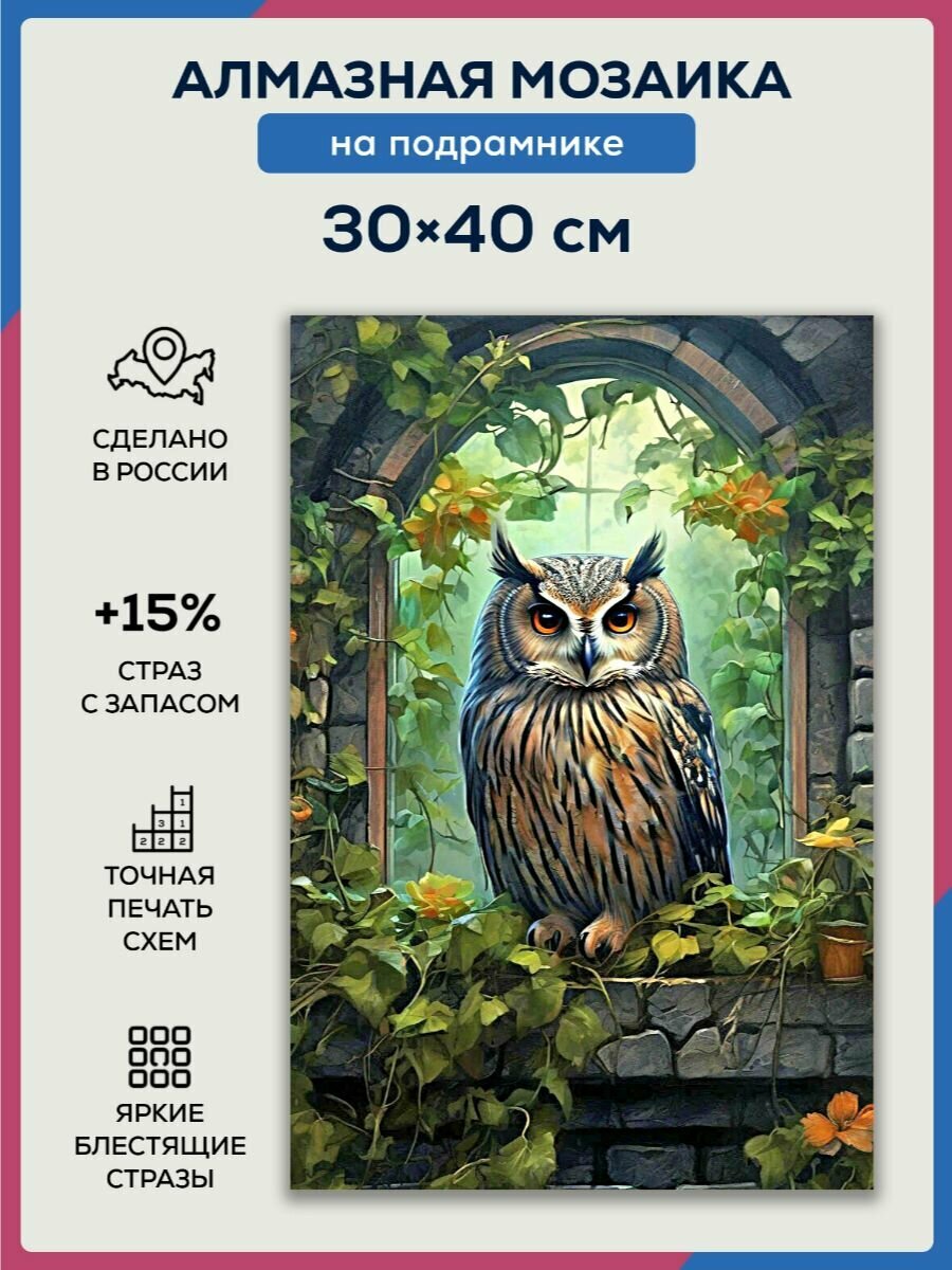 Алмазная мозаика 30x40 Сова на окне на подрамнике