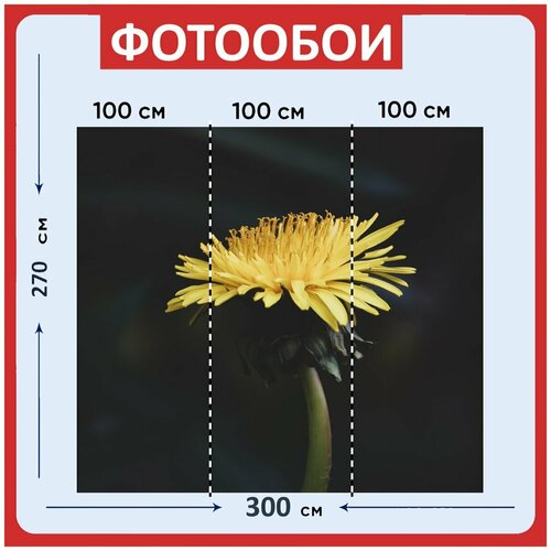 Фотообои Хризантема цветок желтый цветок 300x270 см флизелиновыена стену 3940₽