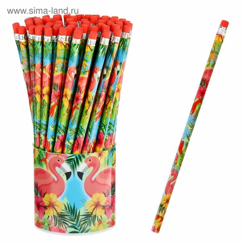 Карандаш чёрнографитный с ластиком Фламинго твёрдость НВ 72шт 947₽