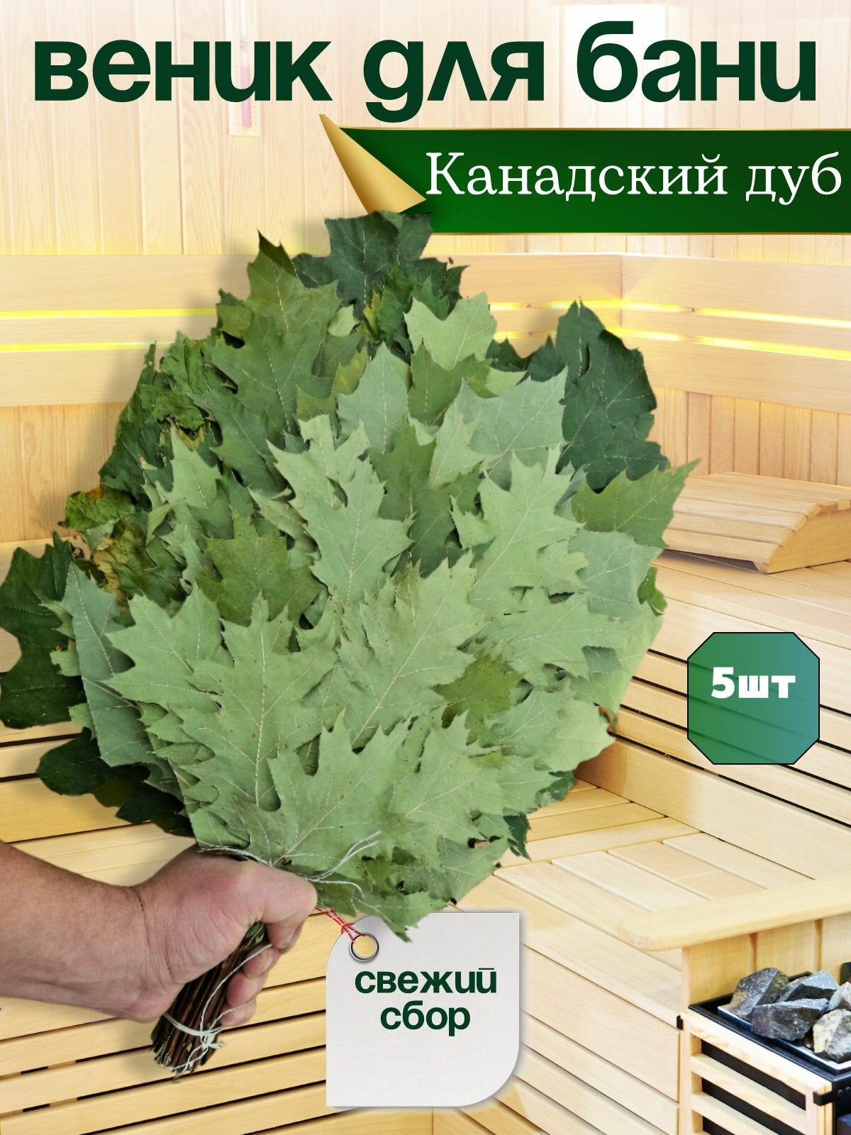 Дубовые веники/Веники из Канадского дуба 5