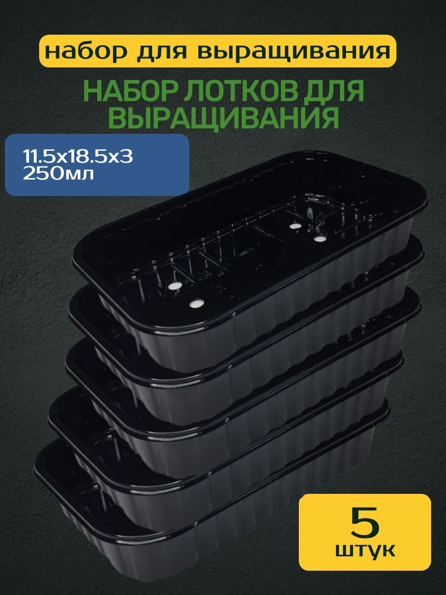 Набор лотков для микрозелени 5 шт