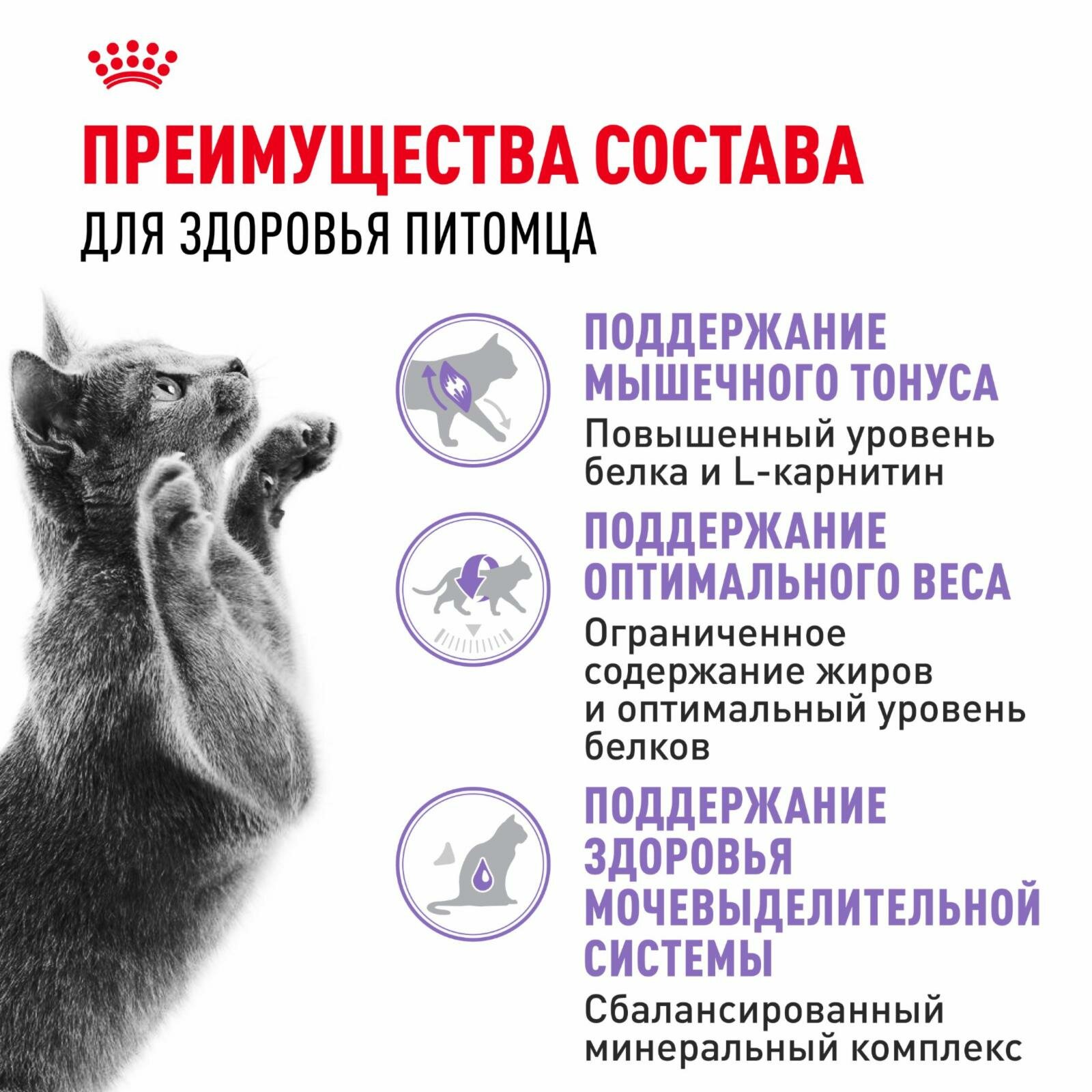 Корм сухой сбалансированный для взрослых стерилизованных кошек, Sterilised 37 — фото 1