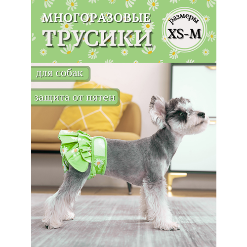 Трусы для собаки во время течки многоразовые, размер XS, подгузники для собак впитывающие