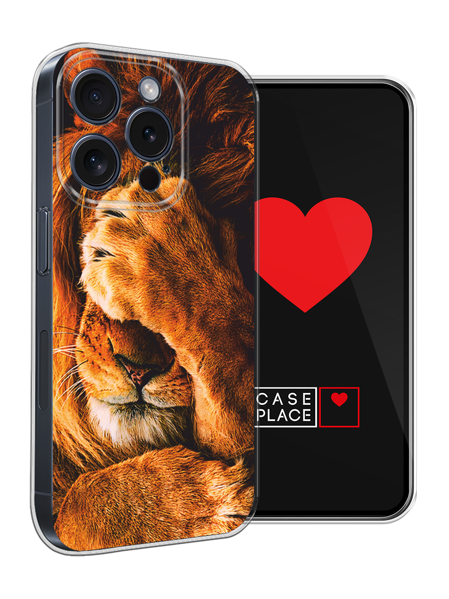 Чехол на Apple iPhone 15 Pro / Айфон 15 Про с принтом Львиный стыд — фото 1