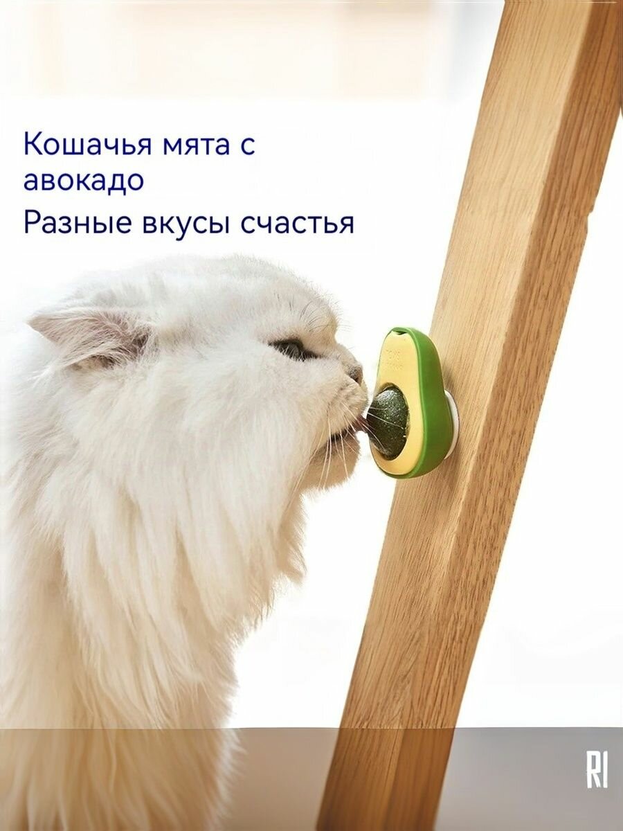 Игрушка для кошек с кошачьей мятой "Авокадо" - забавный мячик для игр и удовольствия вашего питомца
