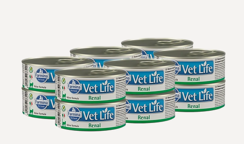 Изображение товара Влажный корм для кошек Farmina Vet Life Renal при проблемах с почками, упаковка 12 шт х 85 гр
