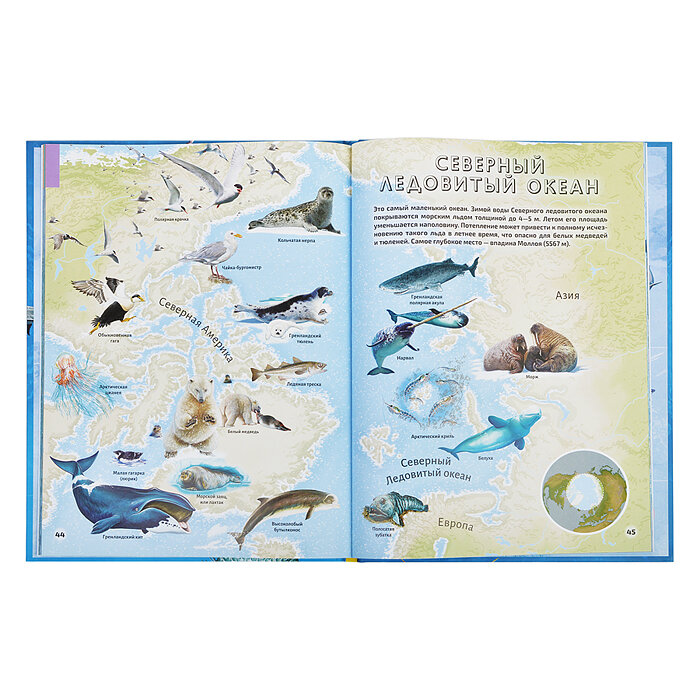 Книга Моря и океаны (Делгадо Консуэло) - фото №12
