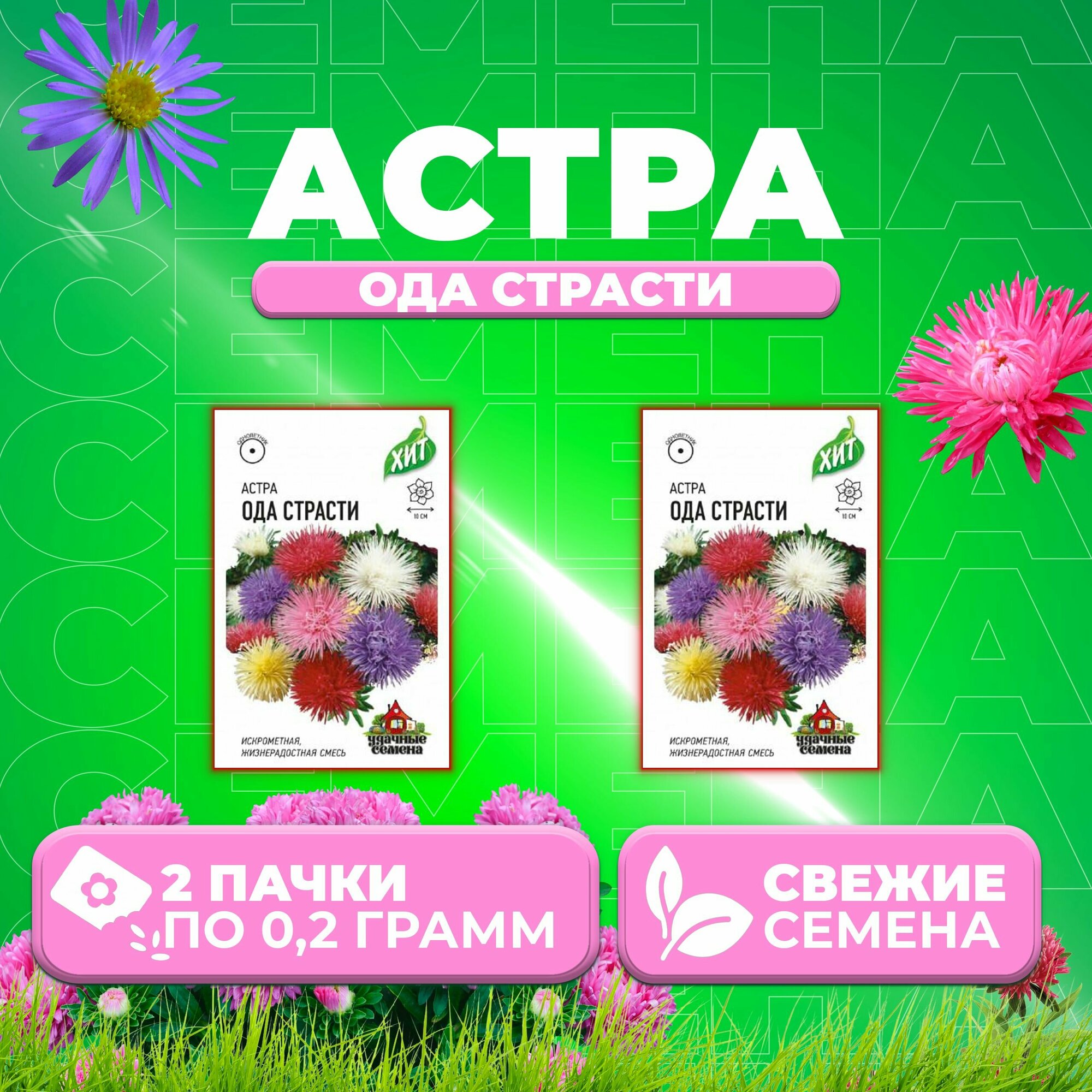 Астра Ода страсти игольчатая, смесь, 0,2г, Удачные семена, серия ХИТ (2 уп)