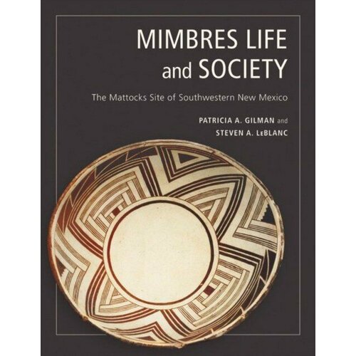 Mimbres Life and Society: The Mattocks Site of Southwestern New Mexico