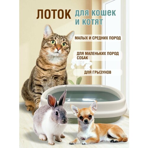 Лоток для кошек и собак