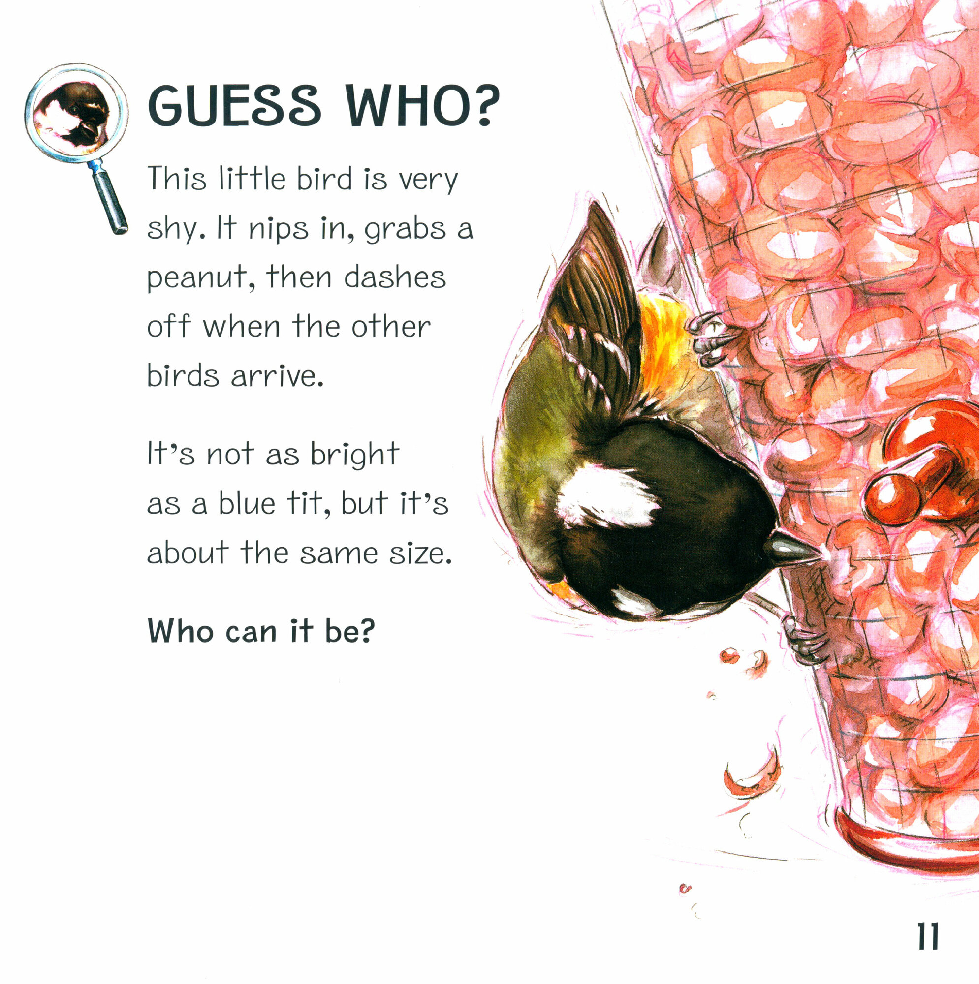 RSPB My First Book of Garden Birds - фото №2
