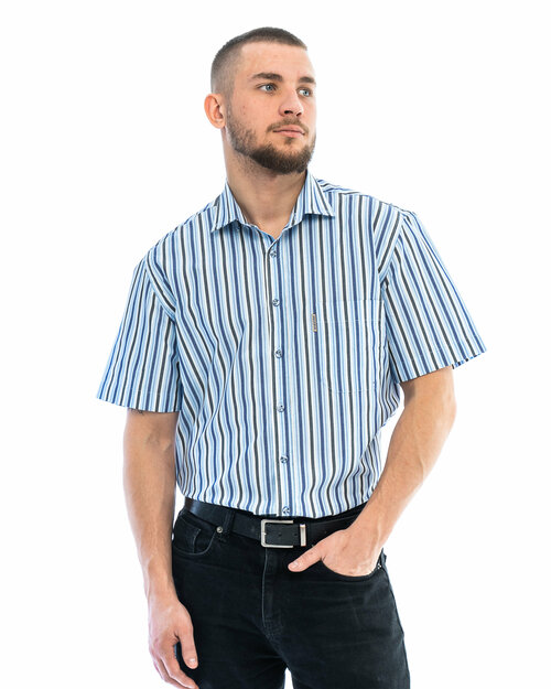 Рубашка Maestro, размер 58-60/XXL/46 ворот, голубой
