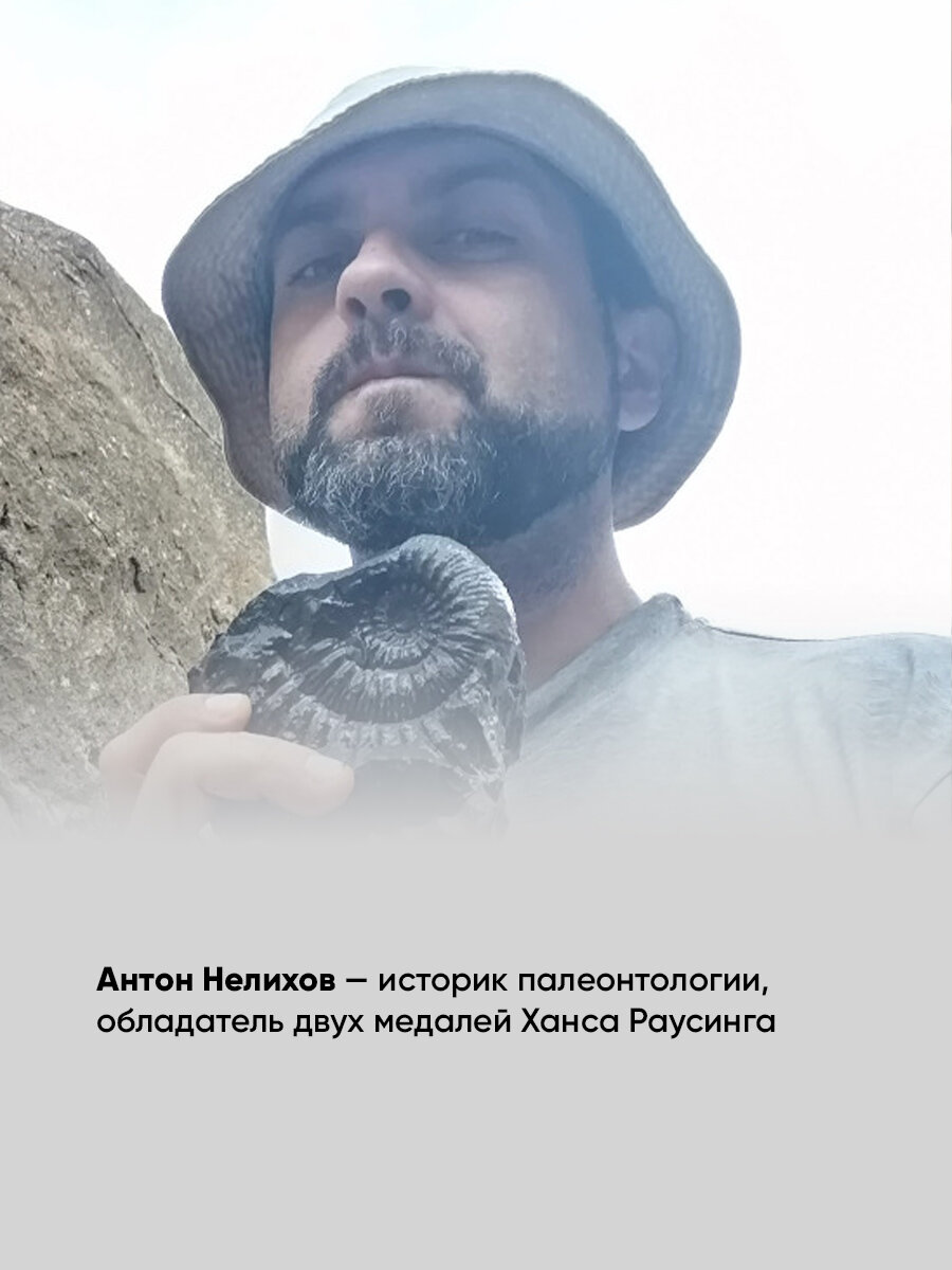 Динозавры России: Прошлое, настоящее, будущее / Нон фикшен / Исторические книги