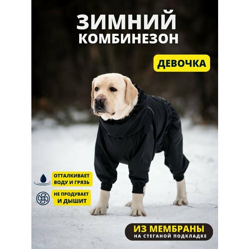 Комбинезон зимний для собак крупных пород SNOW plus, 60+ж (сука), черный, 5XL+