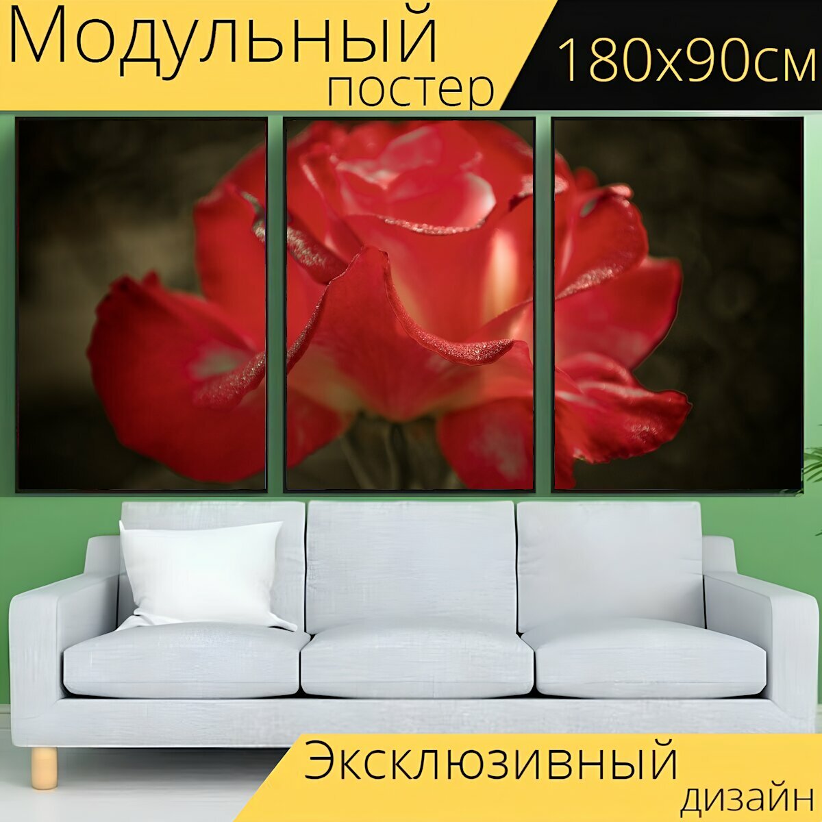 Модульный постер "Роза, красная роза, красный цветок" 180 x 90 см. для интерьера