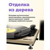 Фото #14 Виниловый проигрыватель Ritmix LP-240