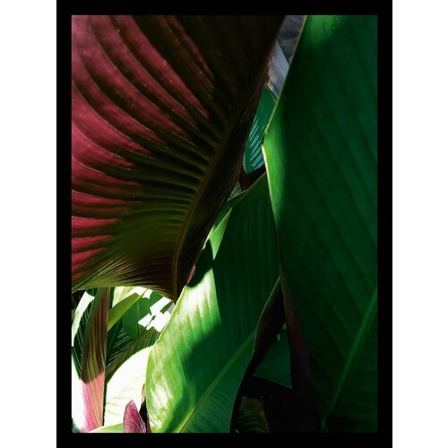 Постер в раме G&C art studio 2680B 300х400