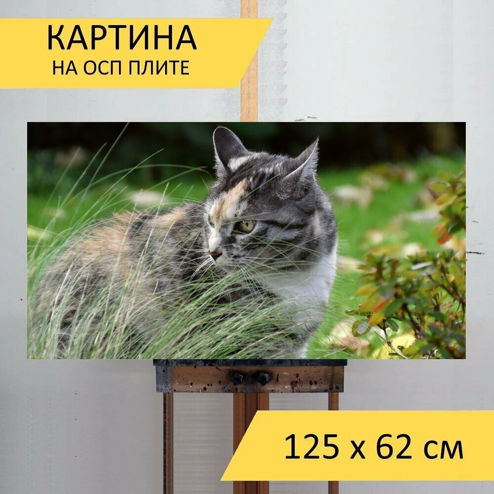 Картина на ОСП 125х62 см. "Кот домашняя кошка домашнее животное" горизонтальная для интерьера с креплениями