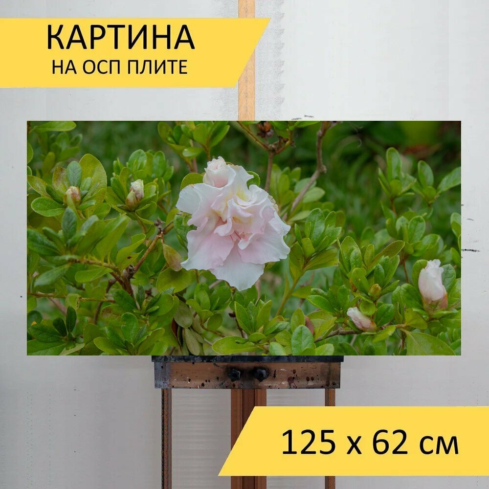 Картина на ОСП 125х62 см. 