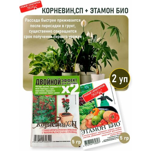 Корневин МосАгро комплект двойной эффект д рассады корневин 5гр этамон био 5гр агросинтез 15 шт