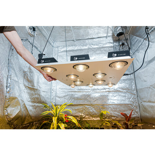 Фитолампа Skeleton 2.0 1000m