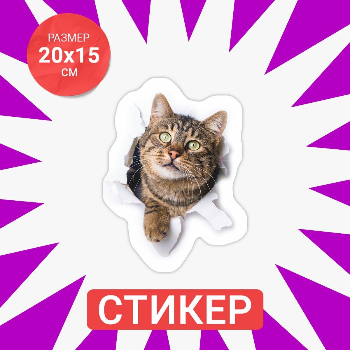 Наклейки на холодильник смешной кот — фото 1