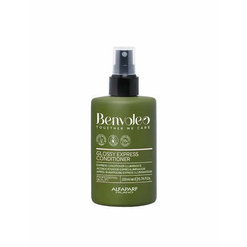 Экспресс-кондиционер для блеска волос GLOSSY EXPR CONDITIONER, 200 мл, Benvoleo, 23803