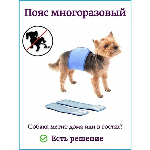 Пояс для кобелей многоразовый впитывающий Comfort (XXS мальчик)