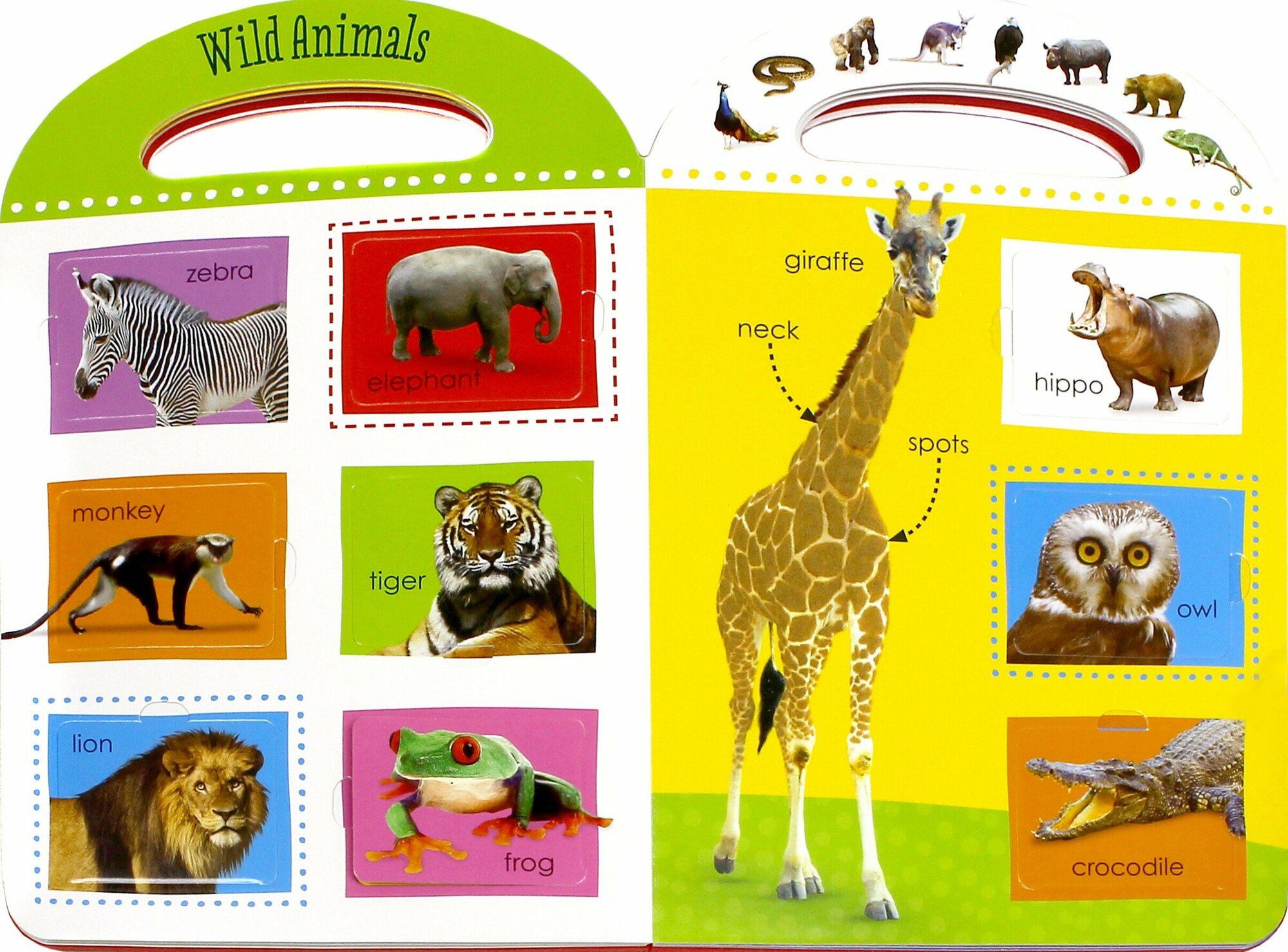 First 100 Animals (touch & lift board book) - фото №2