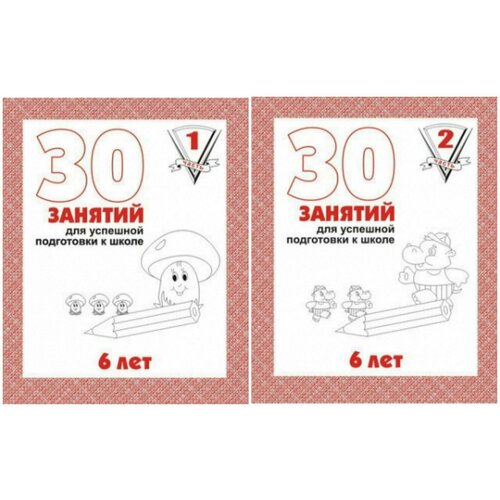 30 занятий для успешной подготовки К школе 6 лет. 1,2 части(комплект) Бурдина. С. В