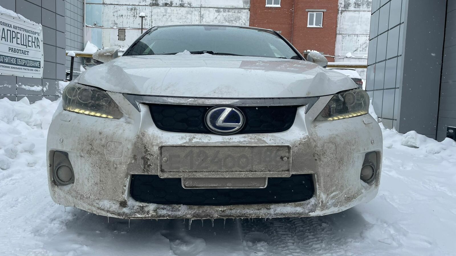 Утеплитель радиатора и бампера для Lexus CT 200 2010 -2014 I Лексус