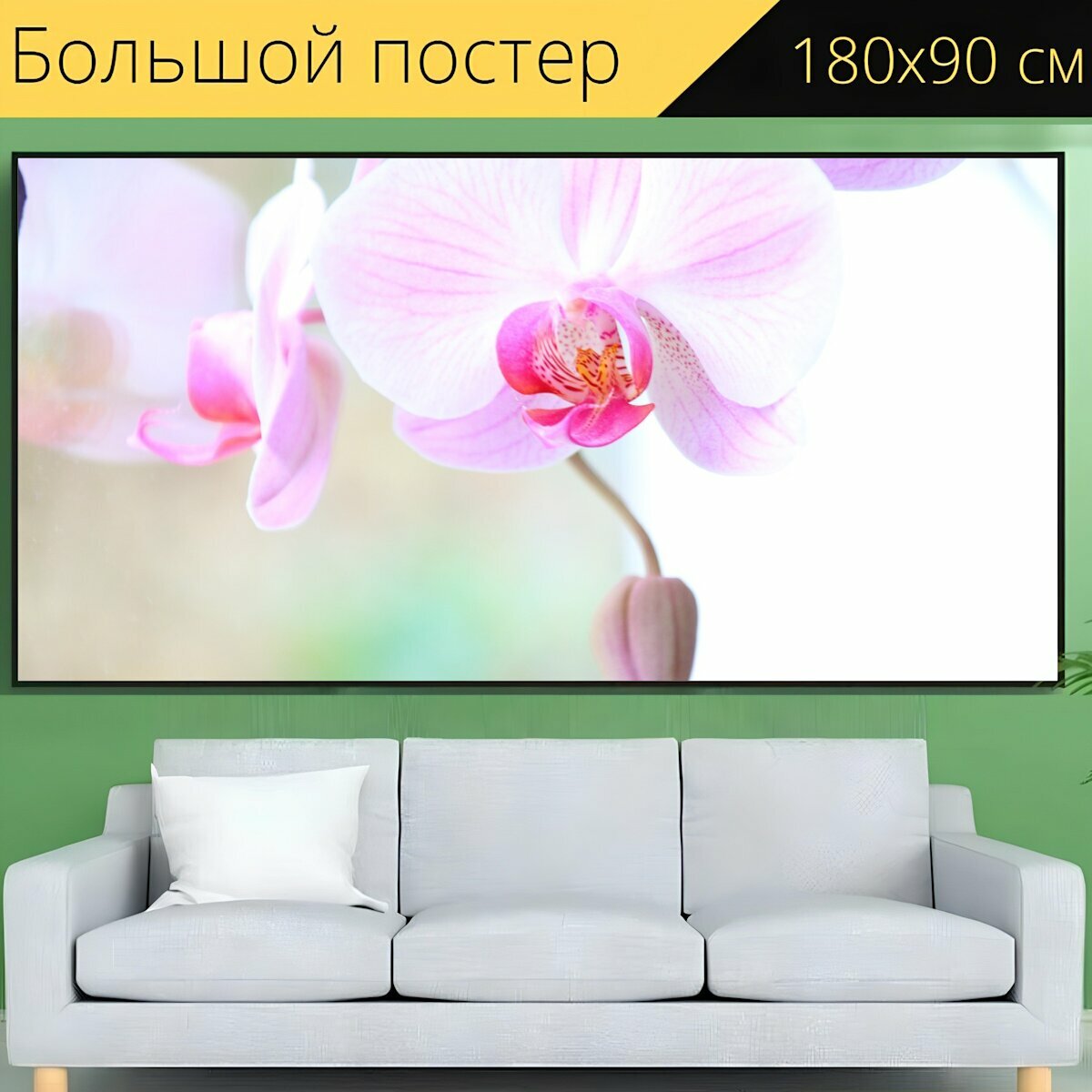Большой постер "Орхидея, яркий, цвести" 180 x 90 см. для интерьера