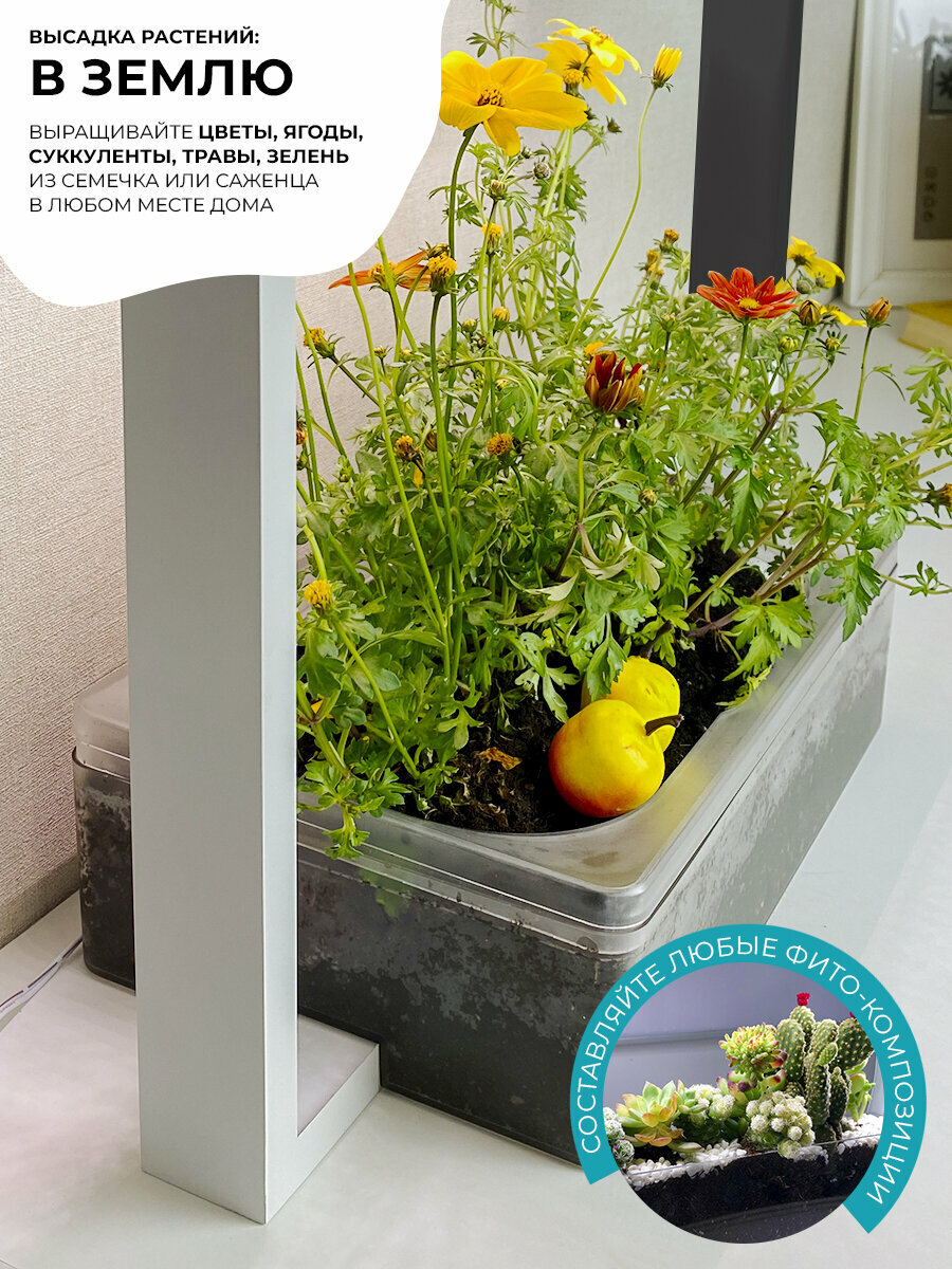 Гидропонная установка- фитосветильник для растений/ Домашняя Садовая ферма/ Умный сад Vegebox V-Frame