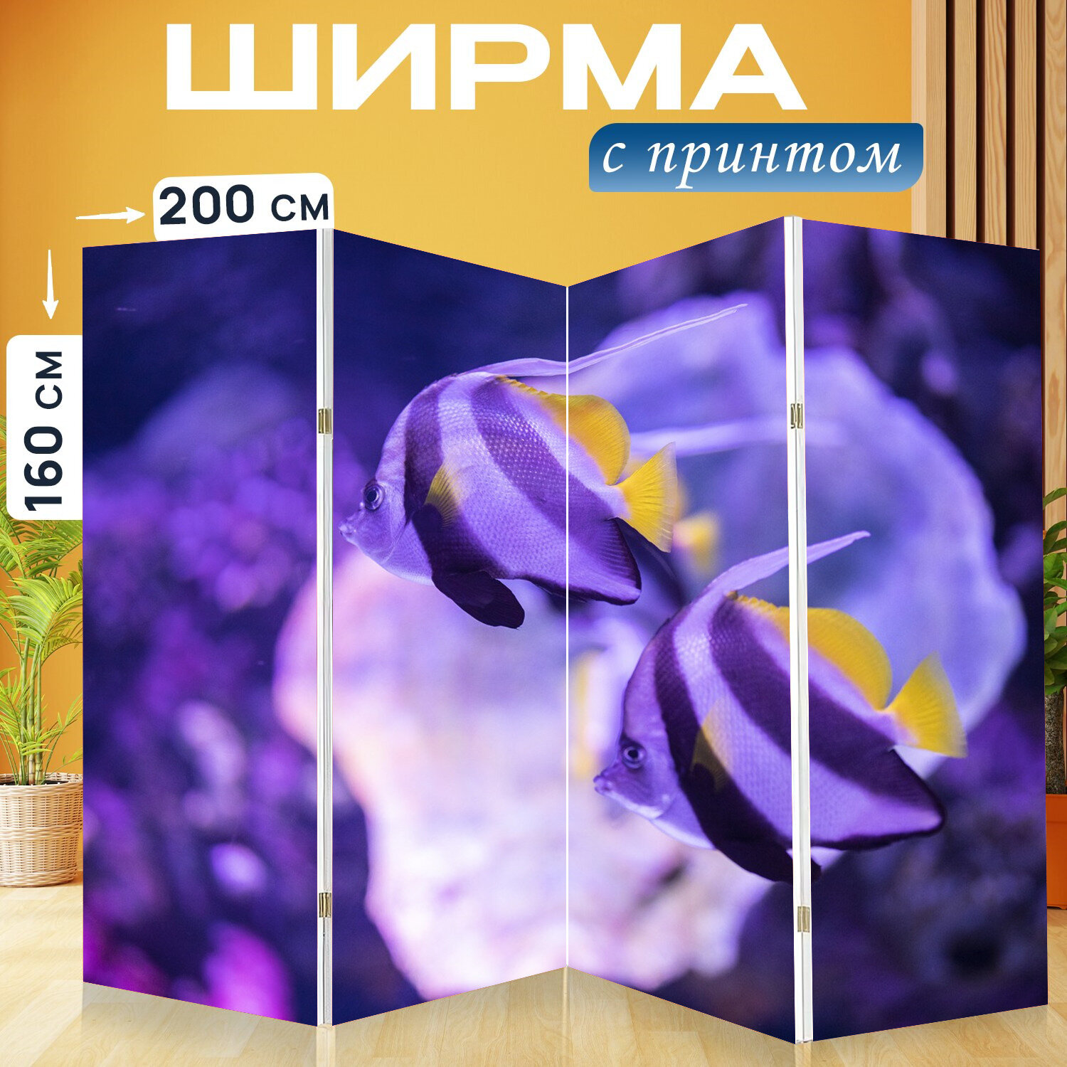 Ширма перегородка с принтом "Рыба, рыбы, море" на холсте - 200x160 см. для зонирования, раскладная