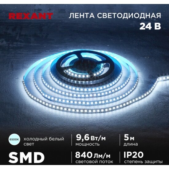 Лента светодиодная Rexant 24В, SMD2835, 9,6Вт/м, 120 LED/м, 6500K, 10мм, 5м,IP20 - фото №2