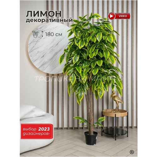 Искусственное лимонное дерево в горшке