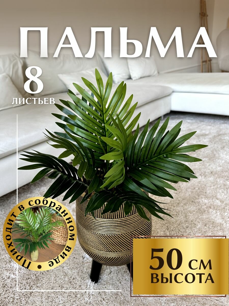 Пальма декоративная 50см