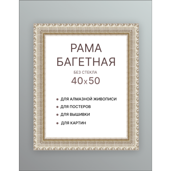 Багетная рама Декарт 40/50 8Л2875