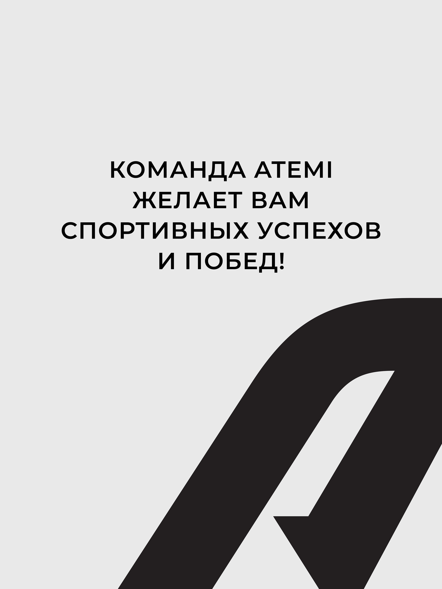 Обруч для похудения массажный хулахуп разборный Atemi, AWH120, 98х4 см, 1,2 кг