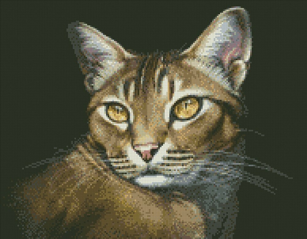Алмазная мозаика Паутинка Абиссинская кошка, 35*45 см (ПАУ. М354)