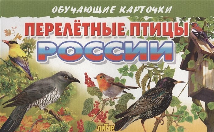 Перелетные птицы России/европодвес - фото №3