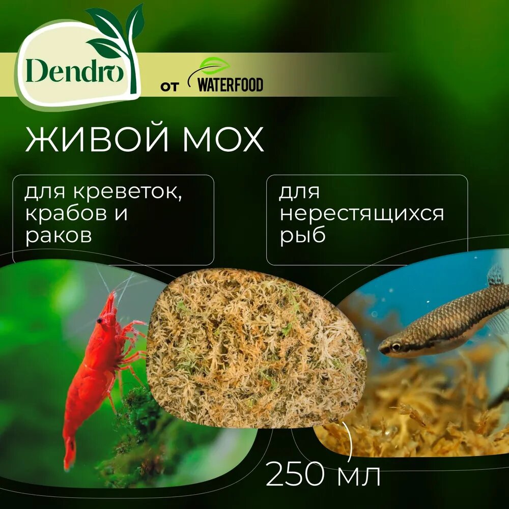 фото Живой мох для креветочника и нерестовика DENDRO от Water Food - корм для креветок, крабов и раков + укрытие для нереста + естественный декор - 250 мл