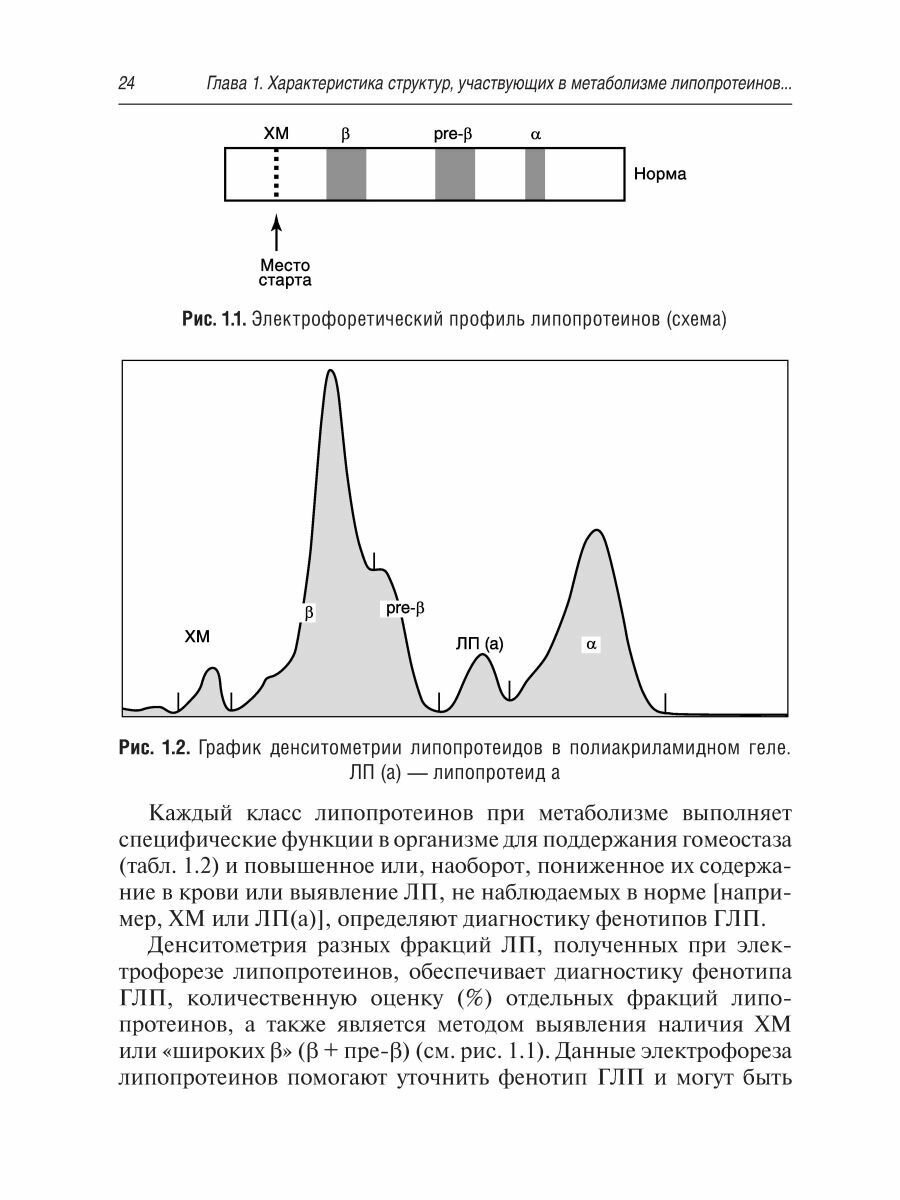 Медико-генетическое консультирование при дислипидемиях. Руководство - фото №13