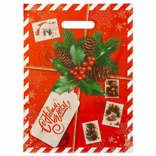 Пакет Новогодняя посылка полиэтиленовый с вырубной ручкой 30х40 см 50 мкм 20шт 553₽