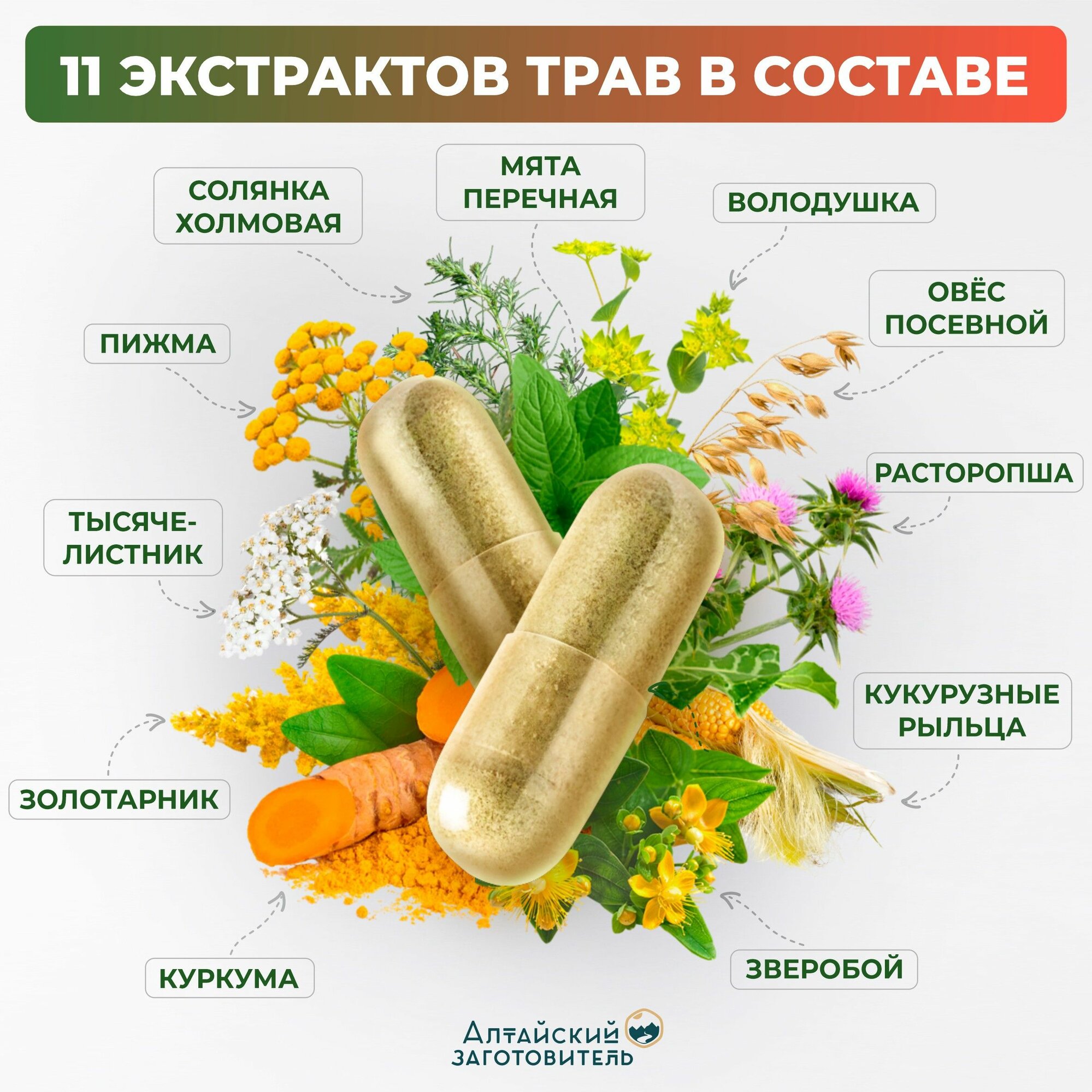 Изображение Фитокомплекс Гепато, таблетки для печени, 2 банки по 60 капсул. Гепатопротекторы, восстановление печени, желчный сбор